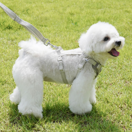 올지 세이프 하네스 초소형 리드줄 세트 충격흡수 슬개골 관절보호 소형견 중형견 강아지 애견 반려견 용 #9