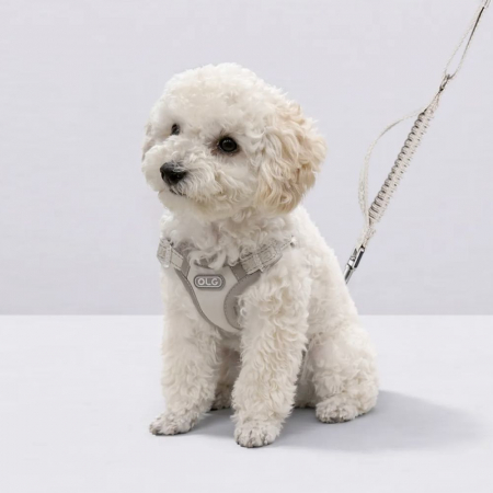 올지 세이프 하네스 초소형 리드줄 세트 충격흡수 슬개골 관절보호 소형견 중형견 강아지 애견 반려견 용 #2