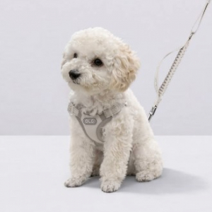 올지 세이프 하네스 초소형 리드줄 세트 충격흡수 슬개골 관절보호 소형견 중형견 강아지 애견 반려견 용