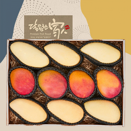 [10+1][달콤한가]스페셜 망고 혼합세트(골드망고6과+애플망고4과/총3.5kg내외) #2