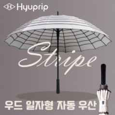 협립 60 16K 갤럭시 스트라이프 우드 일자 자동우산