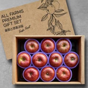 [10+1]특선 안동사과세트(2.5kg이상/사과10과)