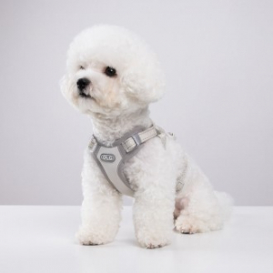 올지 세이프 하네스 소형 강아지 슬개골 리프팅 관절보호 기도압박 없는 h형 y형 x형 산책용 소형견 중형견 애견 반려견 용