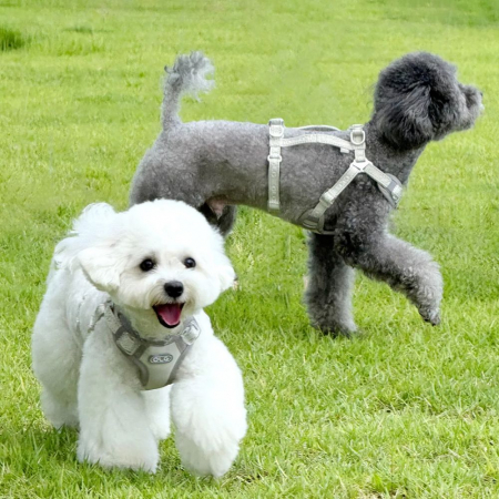 올지 세이프 하네스 대형 강아지 슬개골 리프팅 관절보호 기도압박 없는 h형 y형 x형 산책용 소형견 중형견 애견 반려견 용 #3