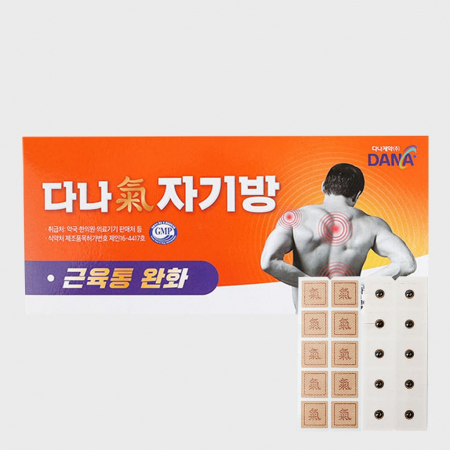 다나자기방 자석 동전 패치파스 #2