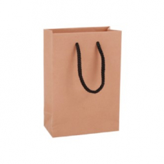 아베오 종이쇼핑백 주얼리시리즈 10호 핑크베이지80x45x120