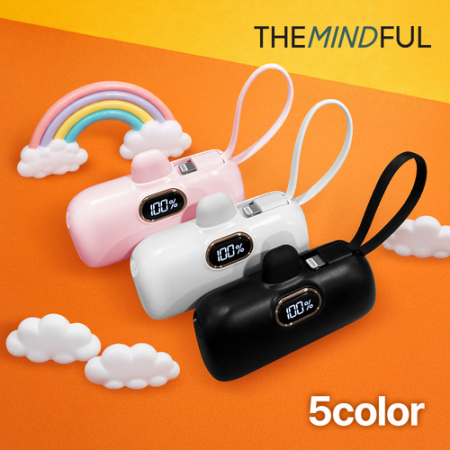 더마인드풀 초고속 PD 22.5w LCD 5000mah 보조배터리 CtoC Cto8 #2