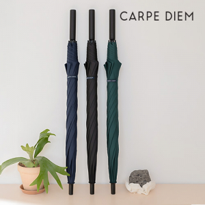 카르페디엠 3HHC102 장우산