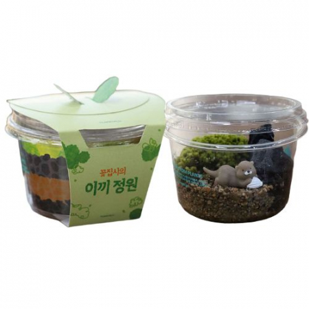 국산 미니화분 이끼키우기 식물키우기 미니정원 교구용품 #3