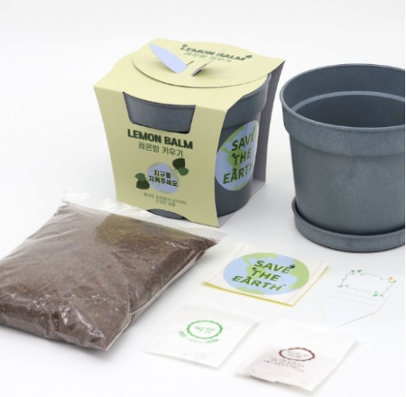 면역력에 좋은 레몬밤 키우기 세트 #4