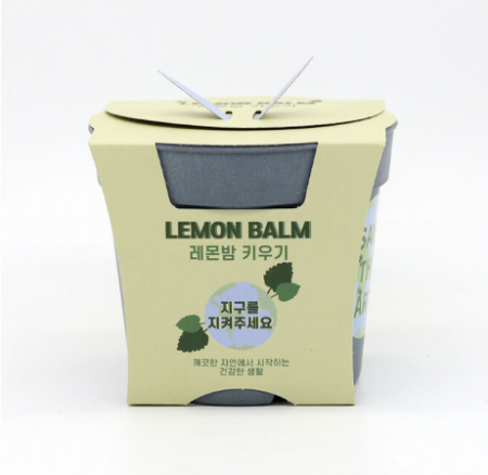 면역력에 좋은 레몬밤 키우기 세트 #2