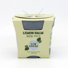 면역력에 좋은 레몬밤 키우기 세트