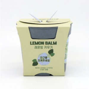 면역력에 좋은 레몬밤 키우기 세트