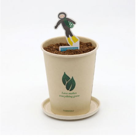 제주 해녀 씨앗 카드 씨앗 키트 자연학습 #4