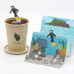 제주 해녀 씨앗 카드 씨앗 키트 자연학습