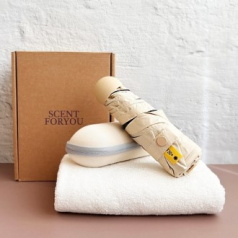 센트포유 머쉬룸 5단양우산+송월타올수건세트