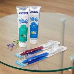 애경 2080 퓨어치약 2개 + 시스테마 치석케어 기능성 칫솔 2개 + 끈케이스