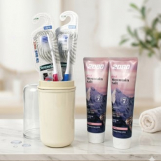 시스테마 초극세모 기능성 치석케어 칫솔 2개 +  애경 2080 핑크솔트 치약 120g 2개 + 휴대용 양치컵