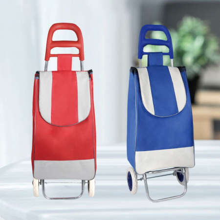 (Blossom) 투톤 쇼핑카트 시장캐리어 1P #2