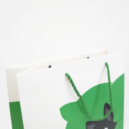 (Blossom) 컬러인쇄 종이 쇼핑백 세로형 (200×270×110/260x360x80/300x400x100/300x400x90mm) 1P #7