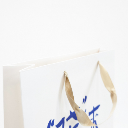 (Blossom) 컬러인쇄 종이 쇼핑백 세로형 (200×270×110/260x360x80/300x400x100/300x400x90mm) 1P #9