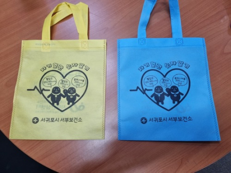 부직포가방 일반형 쇼핑백 장바구니 보조가방 /인쇄 제작 가능/ #4