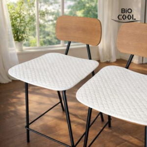 쿨한 바이오쿨 냉감 방석 420 2개입