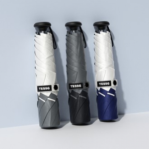 테스지 프라임 모노 자동 우양산