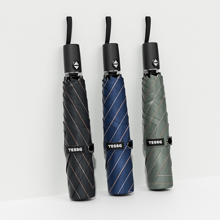 테스지 어반 스트라이프 자동 우양산 #2