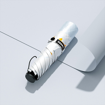 테스지 데이지 우양산 #4