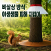 작은이미지: 야생생물 지킴이 #2