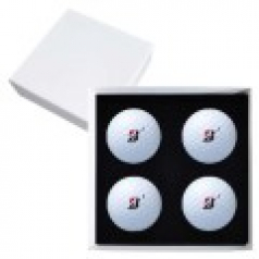 브리지스톤 투어 B XS 4구 고급 싸바리케이스