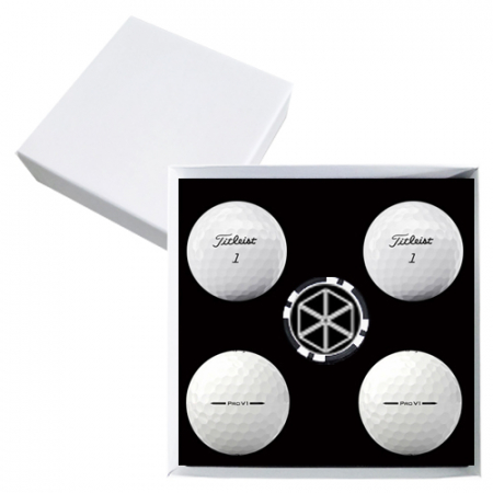 타이틀리스트 PRO V1 4구 볼마커칩 고급 싸바리케이스 #2
