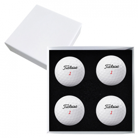 타이틀리스트 트루필 4구 고급 싸바리케이스 #2