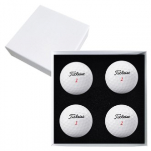 타이틀리스트 트루필 4구 고급 싸바리케이스