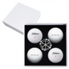 타이틀리스트 HVC 4구 볼마커칩 고급 싸바리케이스