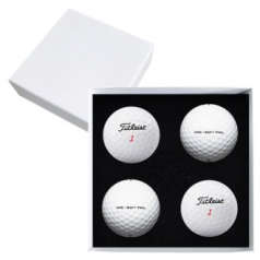 타이틀리스트 HVC 4구 고급 싸바리케이스