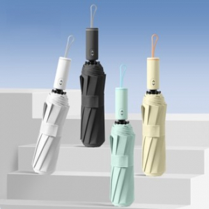 데네브 10K 3단 자동 양우산