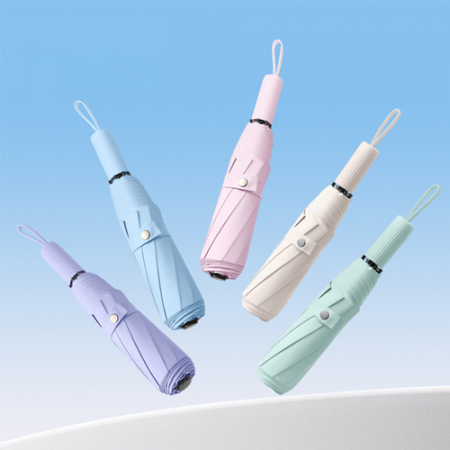 골디락스 8K 3단 수동 양우산 #2