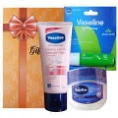 바세린3종-C타입