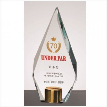 뿔 크리스탈 상패3 #2