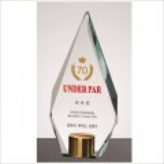 뿔 크리스탈 상패3