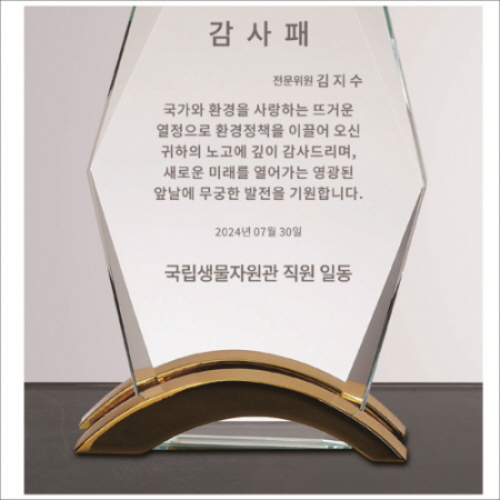 뿔 크리스탈 상패1 #5