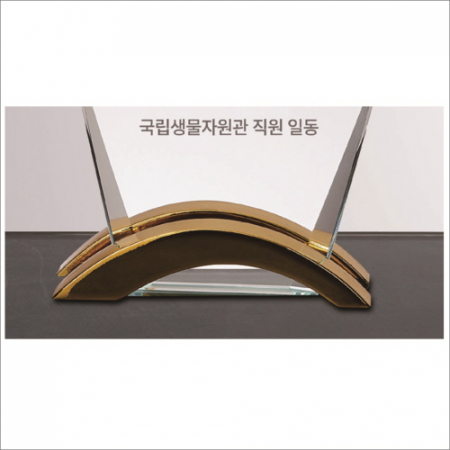 뿔 크리스탈 상패1 #6