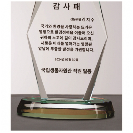 뿔 크리스탈 상패1 #9