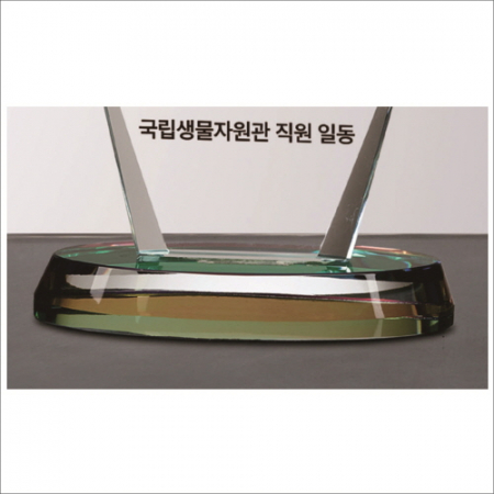 뿔 크리스탈 상패1 #10