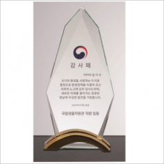 뿔 크리스탈 상패1