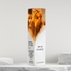 재직퇴직 임명 공로 위촉 수지 감사패 ART370