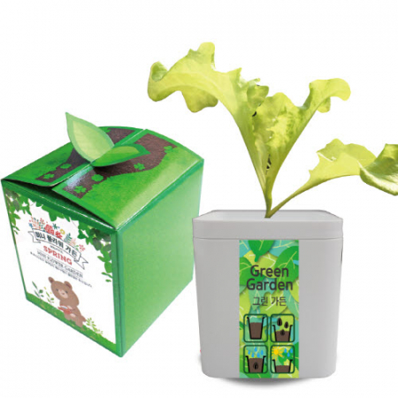 씨앗 그린 가든(씨앗화분) #3