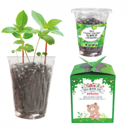 미니 플라워 가든(씨앗 화분) #3